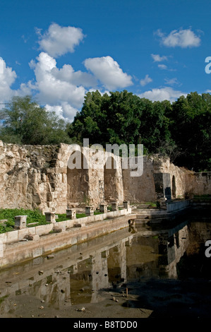 Les anciens thermes romains de Hamat Gader un site hot springs dans la vallée de la rivière Yarmouk au Golan Israël Banque D'Images