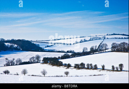 Un hiver neigeux ensoleillé vue paysage ou scène sur les Downs dans le Wiltshire England UK Banque D'Images