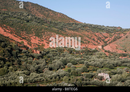 Vallée de zat (Haut Atlas, Maroc). Banque D'Images