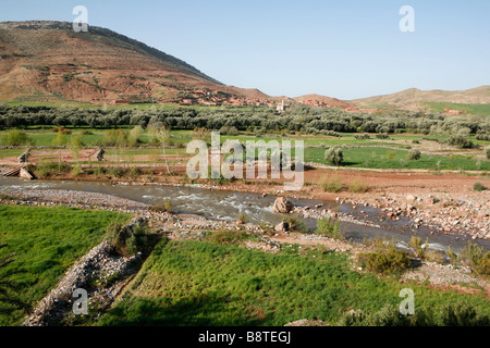 Vallée de zat (Haut Atlas, Maroc). Banque D'Images