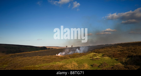 Heather gravure sur les hautes landes du Yorkshire du Nord Banque D'Images