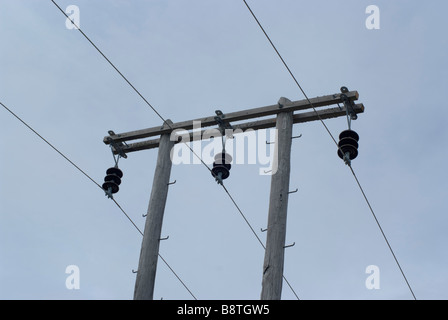 Poteaux en bois près du lac Ohau effectuer la connexion des lignes à haute tension en Nouvelle Zélande s national grid Banque D'Images