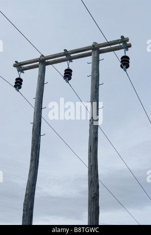 Poteaux en bois près du lac Ohau effectuer la connexion des lignes à haute tension dans le réseau national de Nouvelle-Zélande Banque D'Images