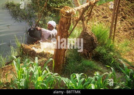 L'Égypte à l'aide d'un agriculteur shaduf pondérée d'un morceau de terre pour irriguer son champ. Méthode pharaonique traditionnelle. Banque D'Images