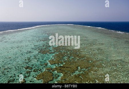 Daedalus Reef spot de plongée Mer Rouge Egypte coral reef Banque D'Images