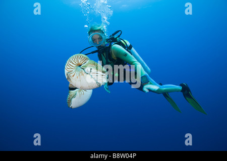 Nautilus Nautilus pompilius plongeur et Grande Barrière de corail en Australie Banque D'Images