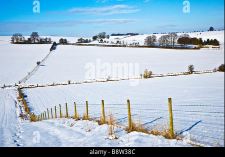 Un hiver neigeux ensoleillé vue paysage ou scène sur les Downs dans le Wiltshire England UK Banque D'Images