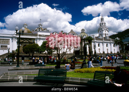 Cathédrale métropolitaine dans l'Independance place dans le vieux Quito Pinchincha Province Banque D'Images