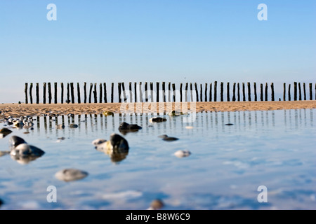 Plage dans le Pas-de-Calais, France Banque D'Images