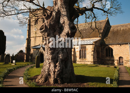 Hutton église du village au début du printemps, Hutton,East Yorkshire, Angleterre, Royaume-Uni Banque D'Images