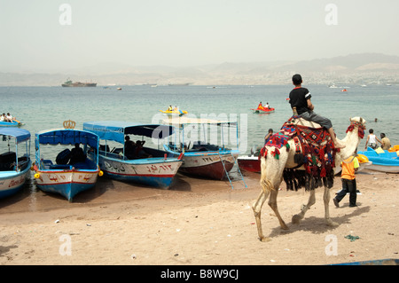 Un chameau sur la plage d'Aqaba Jordanie Banque D'Images