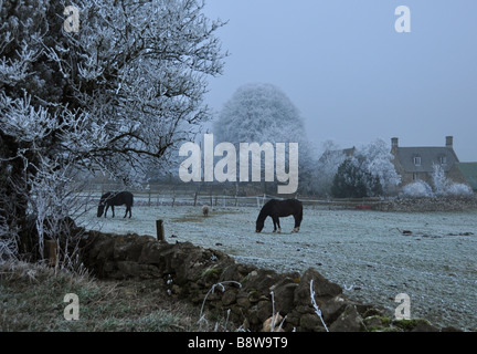 Cotswold paysage avec ferme et animaux avec forte gelée Banque D'Images