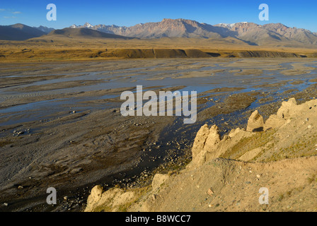 Mudurum River dans les hautes terres du Kirghizistan, région typique pour ibisbill oiseau. Banque D'Images