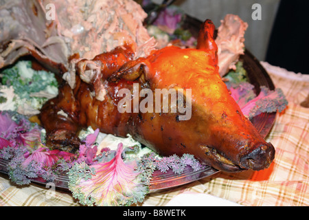 La vie toujours d'un porc rôti à la tête d'une partie de l'espace de copie Banque D'Images