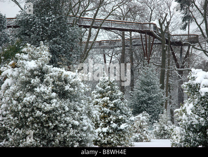 La neige a couvert l'allée en vue aérienne de Kew Gardens (Jardins botaniques royaux) Banque D'Images