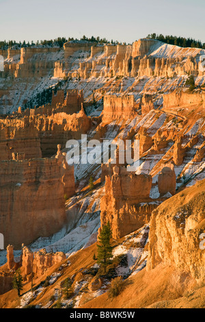 Vue de Bryce Amphitheater de la Rim Trail dans le Parc National de Bryce Canyon Utah Banque D'Images