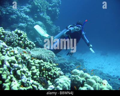 Photographe sous-marin profond dans diver Banque D'Images