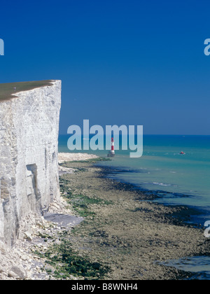 Le livre blanc des falaises de craie de Beachy Head et phare, des South Downs, Sussex, England, UK. Banque D'Images