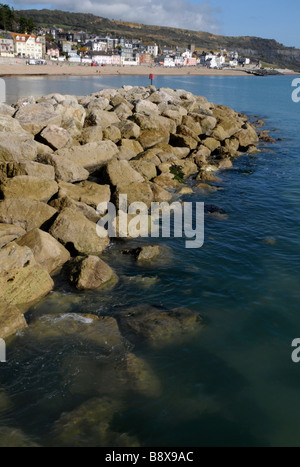 Les défenses de la mer à Lyme Regis, dans le Dorset Banque D'Images