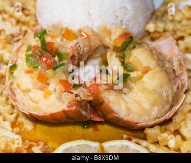 Queue de homard des caraïbes dîner avec pommes de terre frites, riz et beurre photographié au Nicaragua Banque D'Images