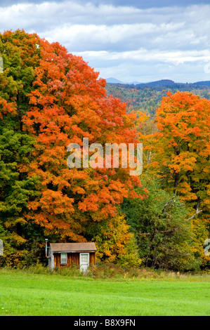 Pâturage avec des feuilles d'automne les arbres d'érable et une cabane à sucre en milieu rural Vermont USA Banque D'Images