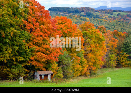 Pâturage avec des feuilles d'automne les arbres d'érable et une cabane à sucre en milieu rural Vermont USA Banque D'Images