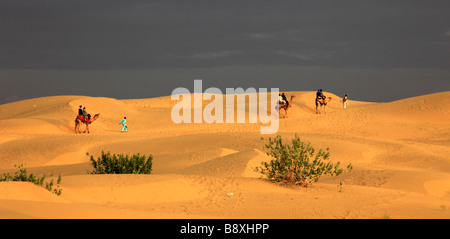 Inde Rajasthan désert de Thar Sam Sand Dunes les gens sur des chameaux Banque D'Images