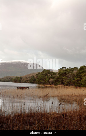 Le Parc National de Killarney Banque D'Images