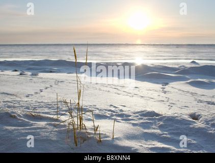 Faible neige soleil au-dessus de la côte de la mer Baltique Russie Banque D'Images