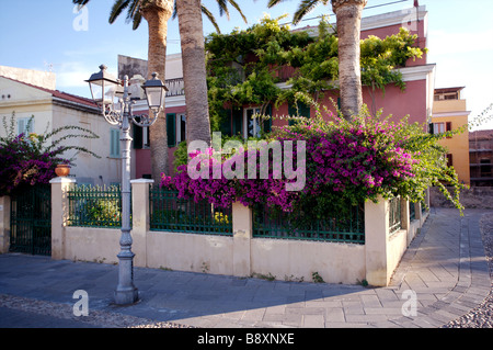 Une villa sur la côte de la Sardaigne, près du port d'Alghero avec une grande vitesse rampante sur le mur extérieur. Banque D'Images