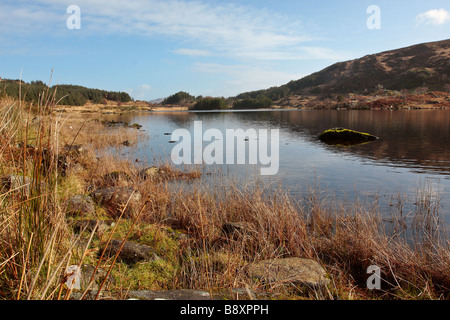 Le Parc National de Killarney Banque D'Images