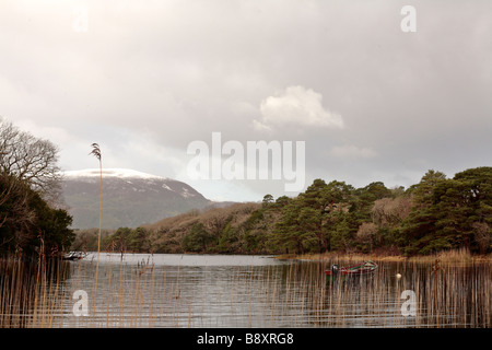 Le Parc National de Killarney Banque D'Images