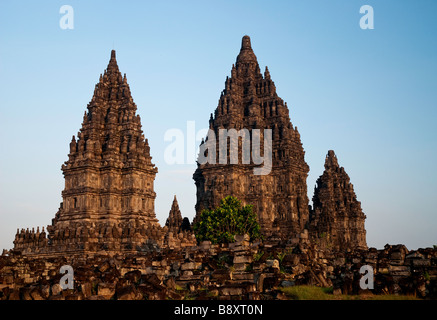 Temple Hindou de Prambanan java indonésie yogyakarta Banque D'Images