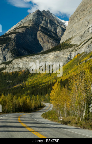 Journée ensoleillée en automne le long de la promenade Icefields dans les Rocheuses canadiennes. Banque D'Images