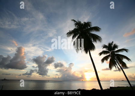 2 palmiers pendant le coucher du soleil sur l'île des Caraïbes Saint Eustache aux Antilles néerlandaises Banque D'Images