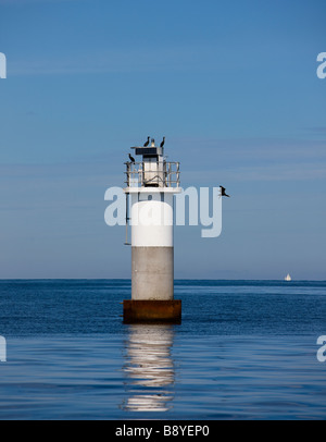 Un phare et un cormoran archipel de Stockholm en Suède. Banque D'Images