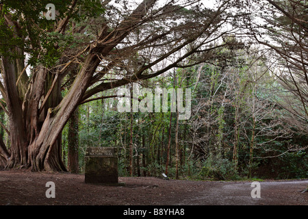 Le Parc National de Killarney Banque D'Images