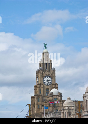 LIver Bird, Liver Building, Liverpool, Angleterre, Royaume-Uni Banque D'Images