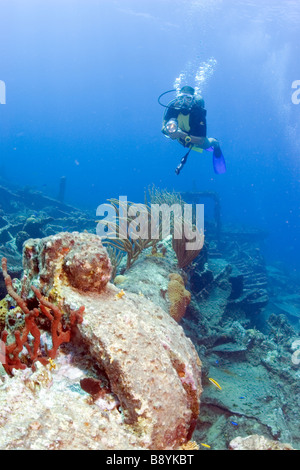 La plongée à l'Épave du RMS Rhone dans les eaux de l'île des Caraïbes de l'île de sel dans les îles Vierges britanniques Banque D'Images