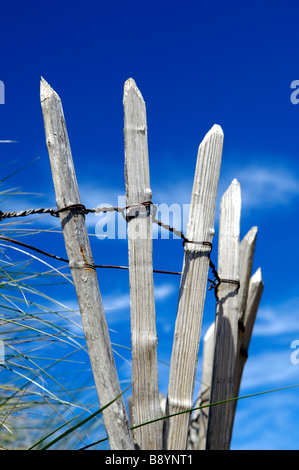 Plage de sable surmonté des clôtures contre un ciel bleu sur la côte du Devon, UK Banque D'Images