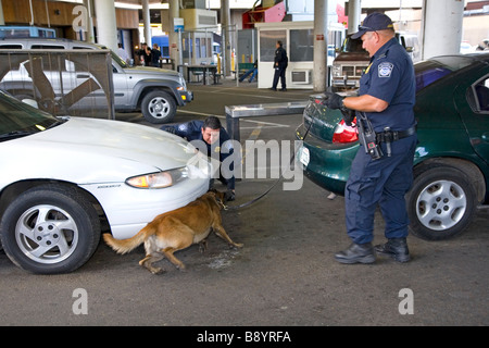 U S des douanes et les agents de l'Immigration au Mexique Tijuana U S San Diego Californie border crossing Banque D'Images