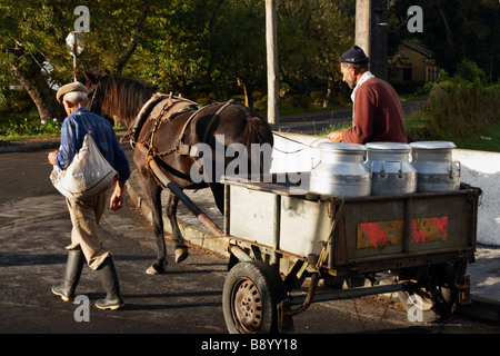 Agriculteur transportant des bidons de lait sur le cheval et panier à Sete Cidades sur l'île de São Miguel aux Açores Banque D'Images