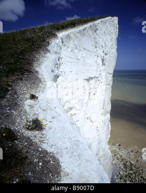 Vue sur le haut de Langdon Rochers et mer ci-dessous au White Cliffs of Dover Banque D'Images