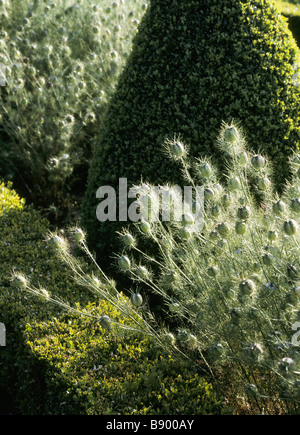 Jardin Cour Westbury Banque D'Images