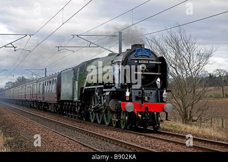 Moteur à vapeur de tornade est une nouvelle classe A1 au poivre locomotive Pacifique représenté sur son premier voyage en Ecosse en février 2009 Banque D'Images