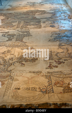 La restauration de la mosaïque colorée zodiac découvertes récemment dans la synagogue juive à Zippori Sepphoris ou période mishnaïque city Banque D'Images