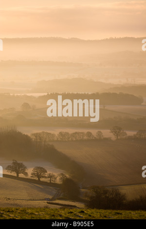 Des moutons paissant sur Raddon colline dominant frosty et misty Mid Devon Angleterre campagne Banque D'Images