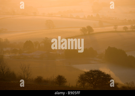 Farm baigné de soleil du matin d'or sur un matin d'hiver glacial et brumeux Raddon Hill Devon, Angleterre Banque D'Images