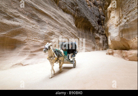 Les touristes voyageant à travers le siq de Pétra dans un cheval et le chariot, Jordanie, Moyen-Orient Banque D'Images