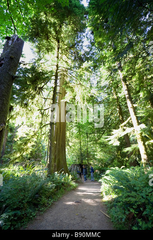 La randonnée à travers la forêt pluviale tempérée de la famille avec des sapins de Douglas Banque D'Images